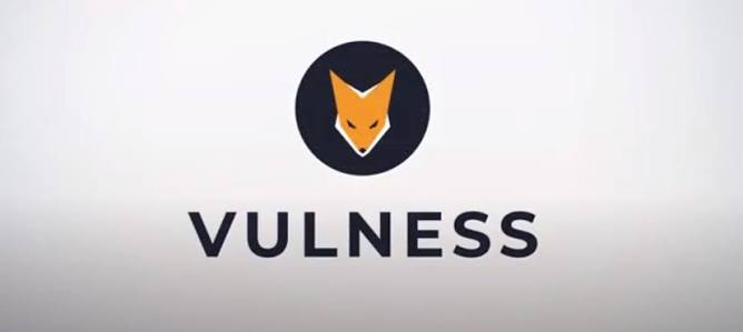 Vulness