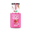 Vinut Coconut Milk Drink – Cocogurt, 100% Lactose Free, Dairy Free, Vegan Coconut Drink with Strawberry, 9.8 Fl Oz, 12 Pack