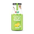 Vinut Coconut Milk Drink – Cocogurt, 100% Lactose Free, Dairy Free, Vegan Coconut Drink with Banana, 9.8 Fl Oz, 12 Pack