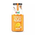 Vinut Coconut Milk Drink – Cocogurt, 100% Lactose Free, Dairy Free, Vegan Coconut Drink with Mango, 9.8 Fl Oz, 12 Pack