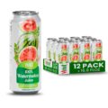VINUT 100% Watermelon Juice, No Added Sugar, Not From Concentrate, 16.9 fl oz (500 mL) Can, Pack of 12