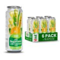 VINUT 100% Sugarcane with Calamansi Juice, No Added Sugar, Not From Concentrate, 16.9 fl oz (500 mL) Can, Pack of 6