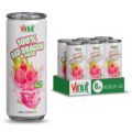 VINUT 100% Red Dragon Fruit Juice with Pulp (Pitaya), No Added Sugar, Not From Concentrate, Gluten Free & Non-GMO Drink, 100% Vegan/Plant-Based, 10.82 fl oz Cans (Pack of 6)