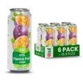 VINUT 100% Passion Fruit Juice, No Added Sugar, Not From Concentrate, 16.9 fl oz (500 mL) Can, Pack of 6