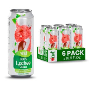 VINUT 100% Lychee Juice, No Added Sugar, Not From Concentrate, 16.9 fl oz (500 mL) Can, Pack of 6