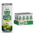 VINUT Coconut Water with Premium Matcha Green Tea, No Sugar Added, Natural Energy & Electrolytes, Vegan, Dairy Free, Gluten Free, 10.8 fl oz (320ml) Cans (Pack of 12)