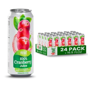 VINUT 100% Cranberry Juice, No Added Sugar, Not From Concentrate, 16.9 fl oz (500 mL) Can, Pack of 24