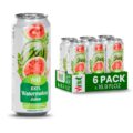 VINUT 100% Watermelon Juice, No Added Sugar, Not From Concentrate, 16.9 fl oz (500 mL) Can, Pack of 6
