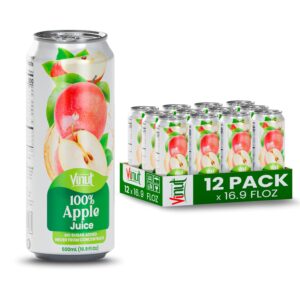 VINUT 100% Apple Juice, No Added Sugar, Not From Concentrate, 16.9 fl oz (500 mL) Can, Pack of 12