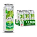 VINUT 100% Soursop Juice, No Added Sugar, Not From Concentrate, 16.9 fl oz (500 mL) Can, Pack of 6