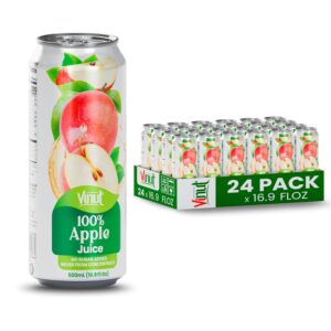 VINUT 100% Apple Juice, No Added Sugar, Not From Concentrate, 16.9 fl oz (500 mL) Can, Pack of 24