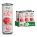 VINUT 100% Lychee Juice with Pulp, No Added Sugar, Not From Concentrate, Gluten Free & Non-GMO Drink, 100% Vegan/Plant-Based, 10.82 fl oz Cans (Pack of 6)