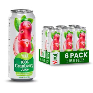 VINUT 100% Cranberry Juice, No Added Sugar, Not From Concentrate, 16.9 fl oz (500 mL) Can, Pack of 6