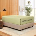 Clara Clark Stay Fitted Single Sheet, Fitted Sheet ONLY! Stay Fit on Mattress with Elastic Straps at Corners, Deep Pocket Fitted Sheet, Fits 18 to 24 Inch Mattress, King – Sage Green