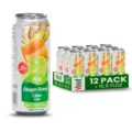 VINUT Ginger, Honey & Lime Juice, 85% Juice, No Added Sugar, Not From Concentrate, 16.9 fl oz (500 mL) Can, Pack of 12