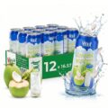 Vinut Original Coconut Water Drink With Pulp (16.57 fl oz, Pack of 12), Hydrate Naturally, Fresh, High Calcium, Potassium, Nutrient Rich, Not From Concentrate, Strong Coconut Flavor and Aroma