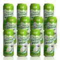 Vinut 100% Pure Organic Coconut Water, USDA Organic, Naturally Hydrating, Non-GMO, 16.57 Fl Oz x 12 Cans, No Added Sugar, NFC, Gluten-Free, Fat-Free, Low Calorie (Pack of 12)