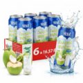 Vinut Original Coconut Water Drink With Pulp (16.57 fl oz, Pack of 6), Hydrate Naturally, Fresh, High Calcium, Potassium, Nutrient Rich, Not From Concentrate, Strong Coconut Flavor and Aroma